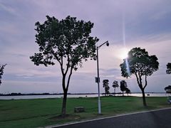 -漕湖湿地公园