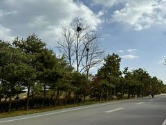 -山东八大碗山东老字号