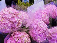 -盒马鲜生(大行宫店)