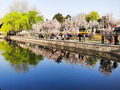-元大都城垣遗址公园