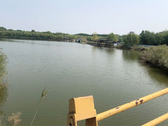 -塘沽森林公园