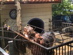 -昆明动物园