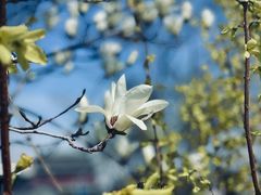 -中国工商银行(北京鼓楼支行)