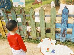 -云漫湖生态度假公园