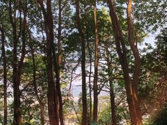-火炉山森林公园
