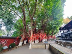 -白帝城·瞿塘峡景区