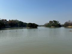 -江心屿景区