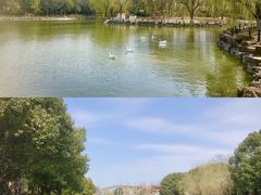-上海影视乐园