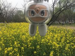 -西北湖绿化广场