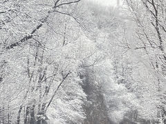 -嘉陵江源头景区