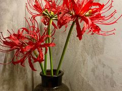 -BE NORMAL CAFE(霞溪路店)