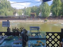 -尚庄度假村·庭台树下·户外烧烤·团建CS·轰趴营地(上庄水库店)