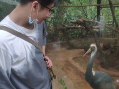 -海南热带野生动植物园