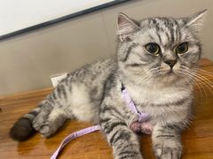 -新疆阿凡提烧烤(泾水路店)