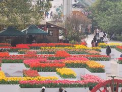 -南山植物园
