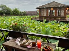 -军山湖云水间生态农业旅游景区