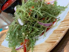 鹿角菜-老白驼退骨特色美食