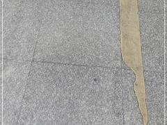 -润生堂(泰然四路店)