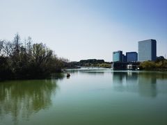-大宁公园