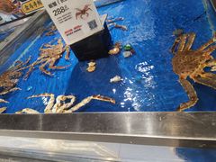 -盒马鲜生(和谐广场店)