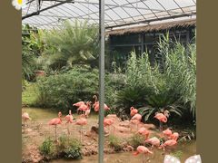 -无锡动物园·太湖欢乐园