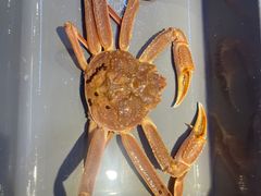 -味钱塘·钱塘渔鲜·地道江浙菜(宋城店)