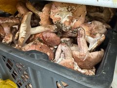 -菌之家·专业纯野生菌火锅·特色炒菌