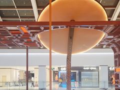-佐度王子扒房(金安店)