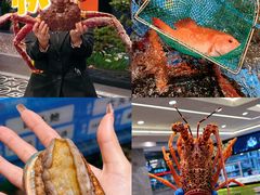 -东海怡品海鲜豆捞(舟宿夜江店)