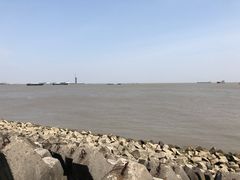 -上海滨江森林公园