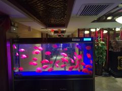-重庆家富富侨养生会所全省示范店(东五路店)