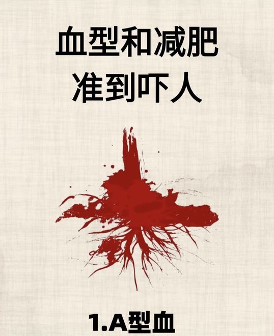 减肥居然和血型相关