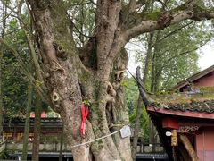 -中国观音故里广德景区