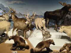 -陕西自然博物馆