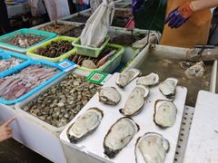 水产区-南沙十九涌渔人码头-南门