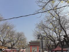 -孔府