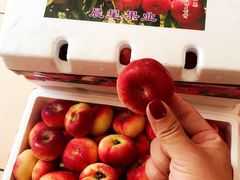 -Dole都乐水果直营