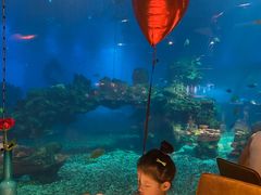 -涛·海底餐厅·美人鱼·自助餐·海底隧道(三亚海棠湾洲际度假酒店)