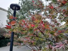 -苏州河梦清园环保主题公园