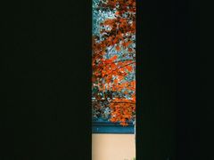-慧因高丽寺