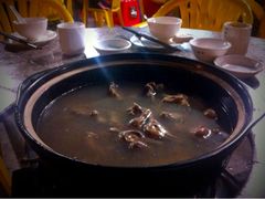 鸽子火锅-皇鸽餐厅(龙塘市场分店)