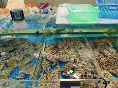 -清水湾3号(东方小周海鲜店)