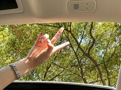 -兵立王鲜果茶·奶茶(大学路店)