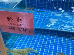 水产区-走马楼饭庄(慈城古县城店)