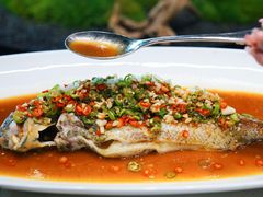 -Apple零售店(成都太古里店)