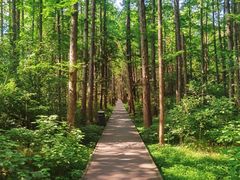 -同里国家湿地公园