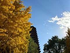 -玲珑塔公园