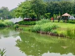 -王借岗森林公园