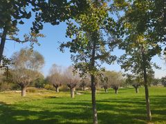 -汉长安城未央宫国家考古遗址公园