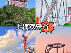 -上海欢乐谷